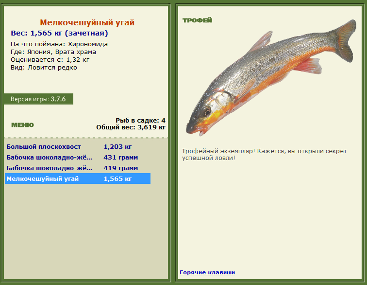 турниры • РУССКАЯ РЫБАЛКА