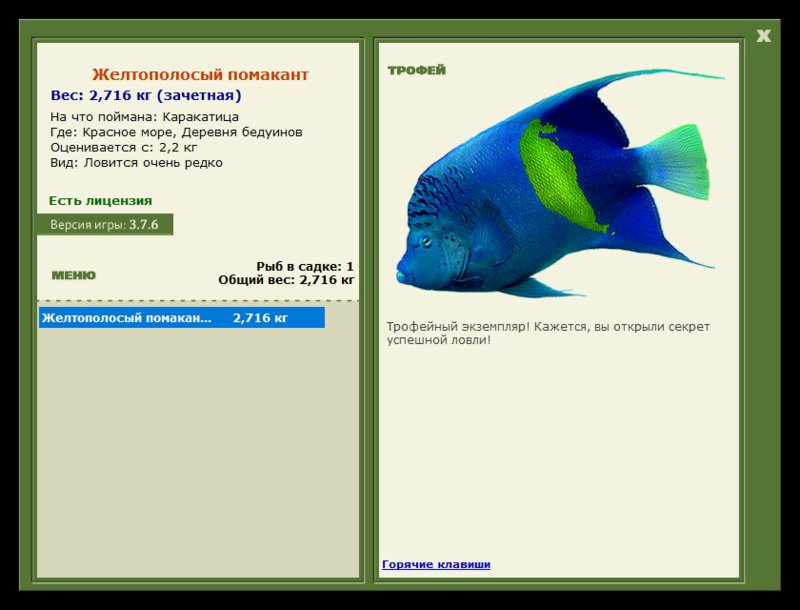 Учимся использовать BBcode в сообщениях 