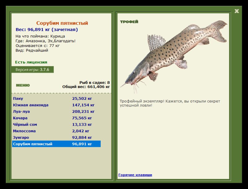 Учимся использовать BBcode в сообщениях 