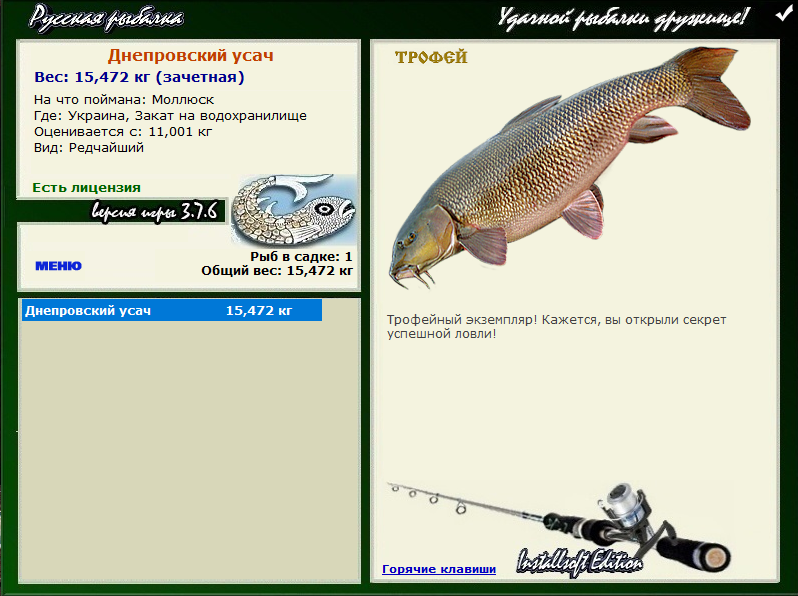 Днепровский усач 