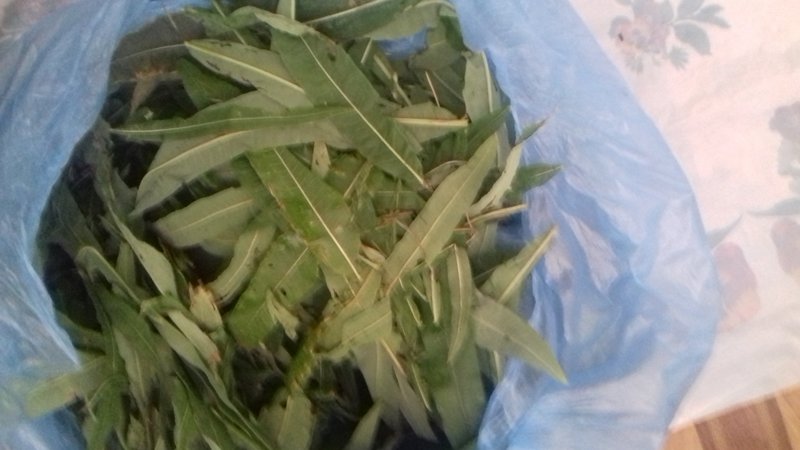 ЦЕЛИТЕЛИ - Страница 2 - Форум \\