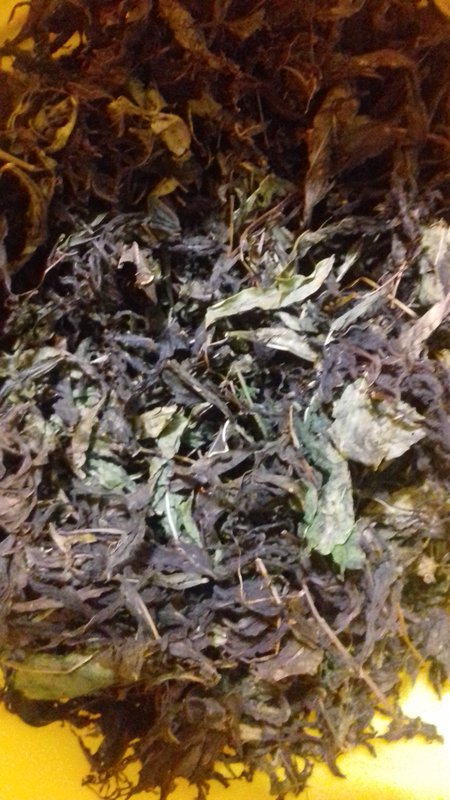 ЦЕЛИТЕЛИ - Страница 2 - Форум \\