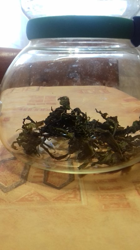 ЦЕЛИТЕЛИ - Страница 2 - Форум \\