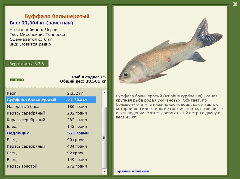 Теннесси 