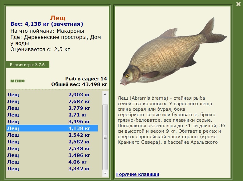 Дом у воды 