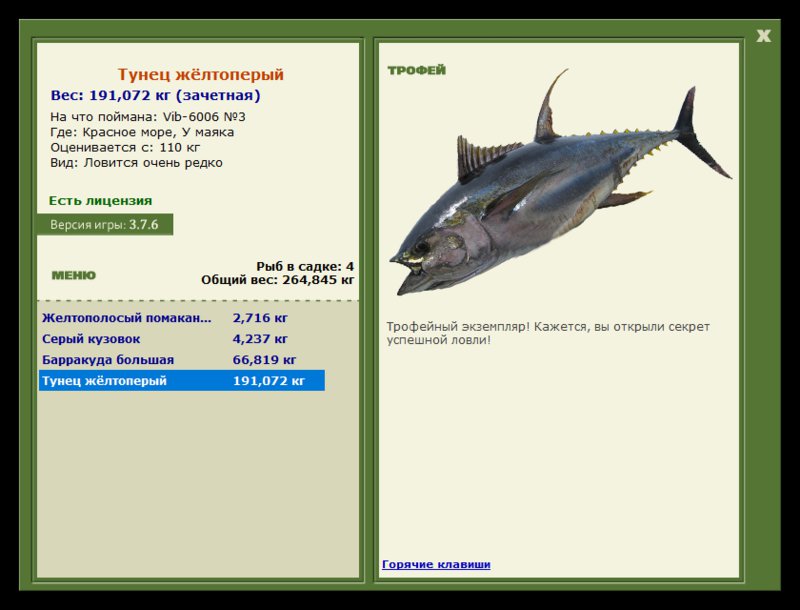 Учимся использовать BBcode в сообщениях 