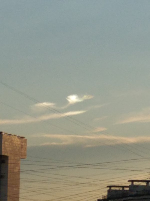  Страница 33 - Форум \\