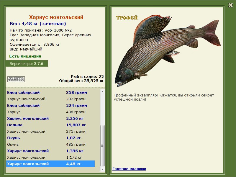 Берег древних курганов 
