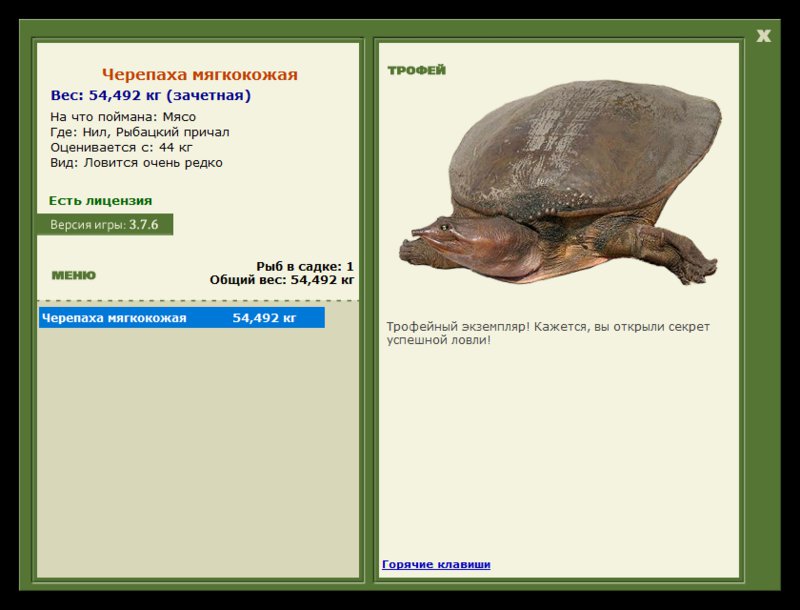 Учимся использовать BBcode в сообщениях 