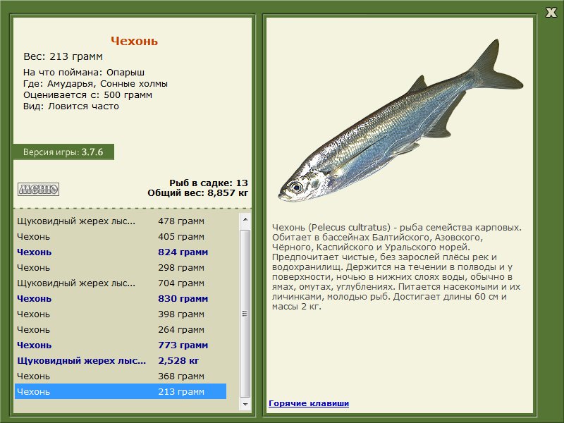 Сонные холмы 