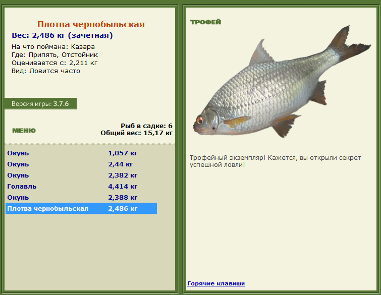 Плотва чернобыльская 
