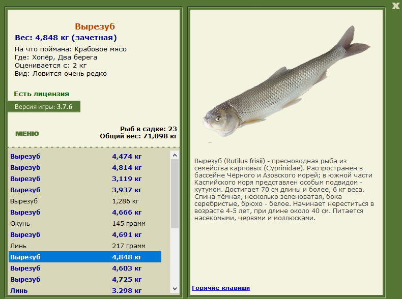 Два берега 