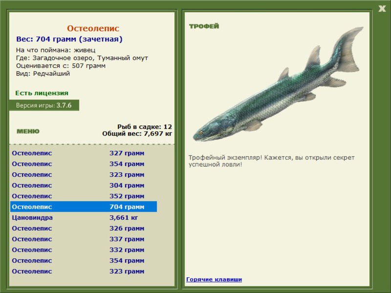 Туманный омут 