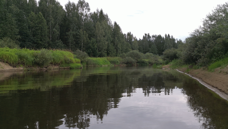 Река Ловать Псковская область рыбалка