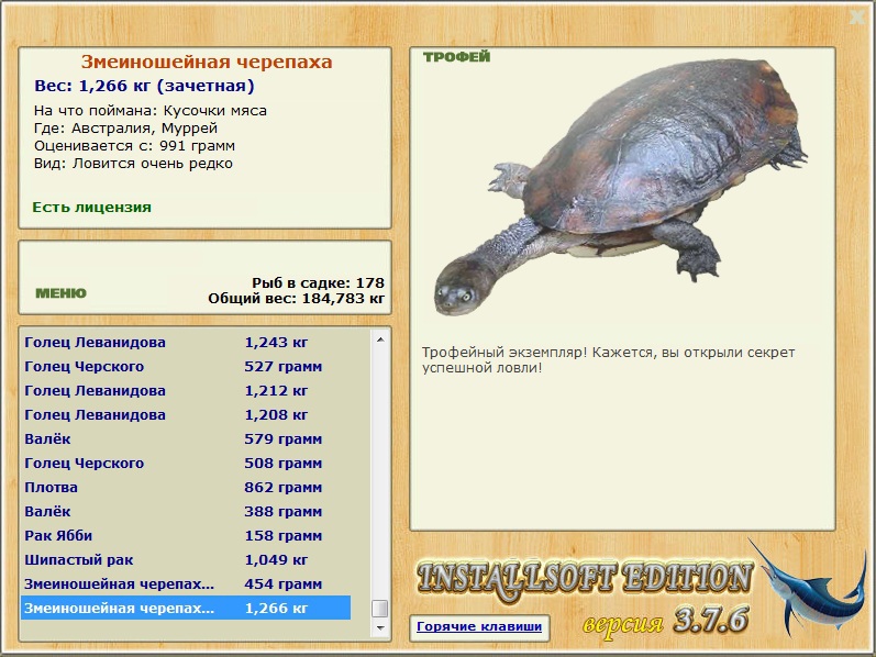 Муррей 