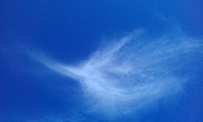  Страница 33 - Форум \\