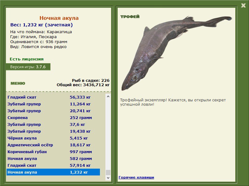 Ночная акула 