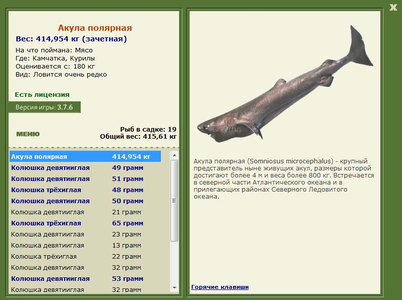 Курилы 
