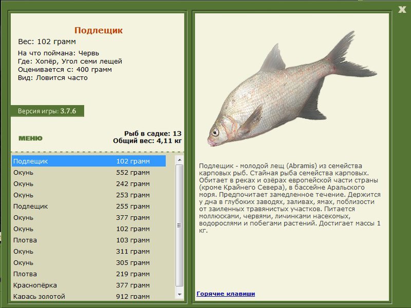 турниры • РУССКАЯ РЫБАЛКА