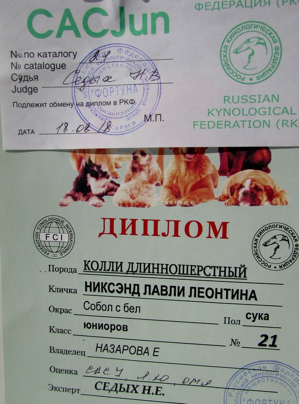  Назарова Елена и колли Калуги