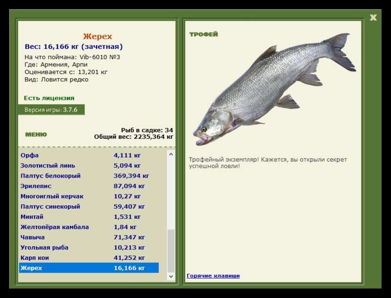 Учимся использовать BBcode в сообщениях 
