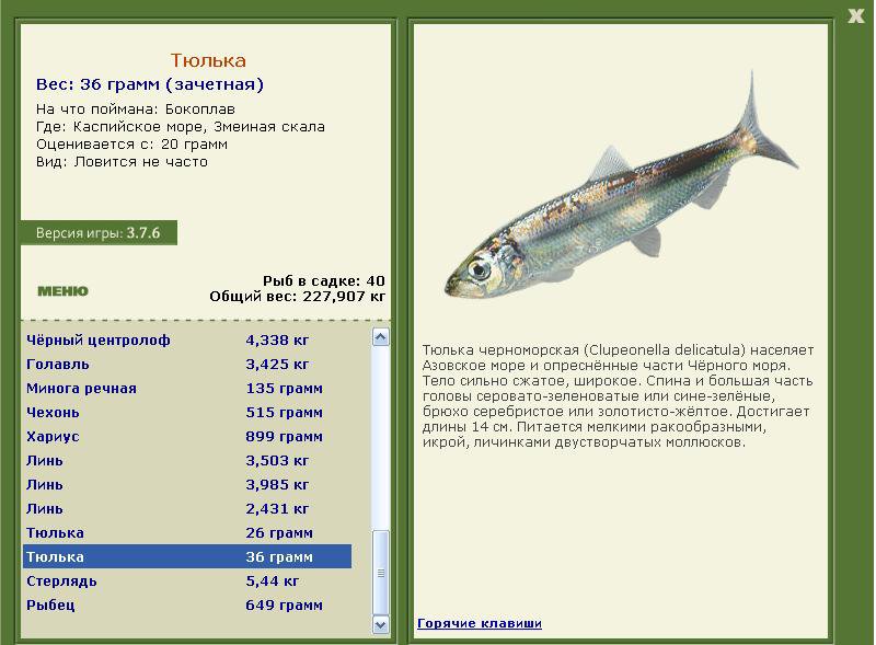 План рассказа тюлька 2 класс