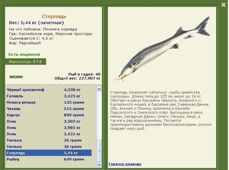Каспийское море 