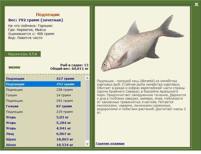 Норвегия 
