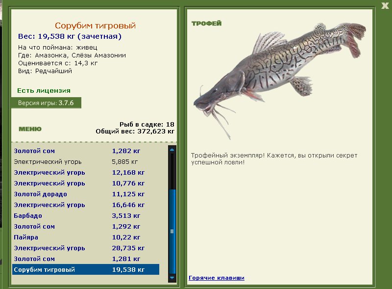 Слёзы Амазонии 