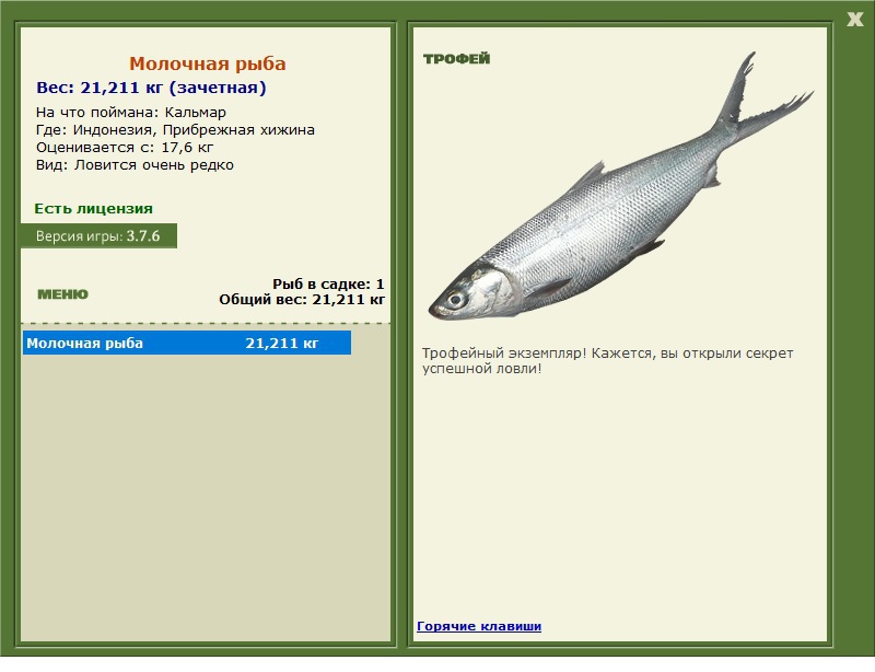 Кальмар 