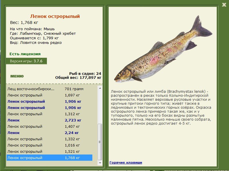 Снежный хребет 