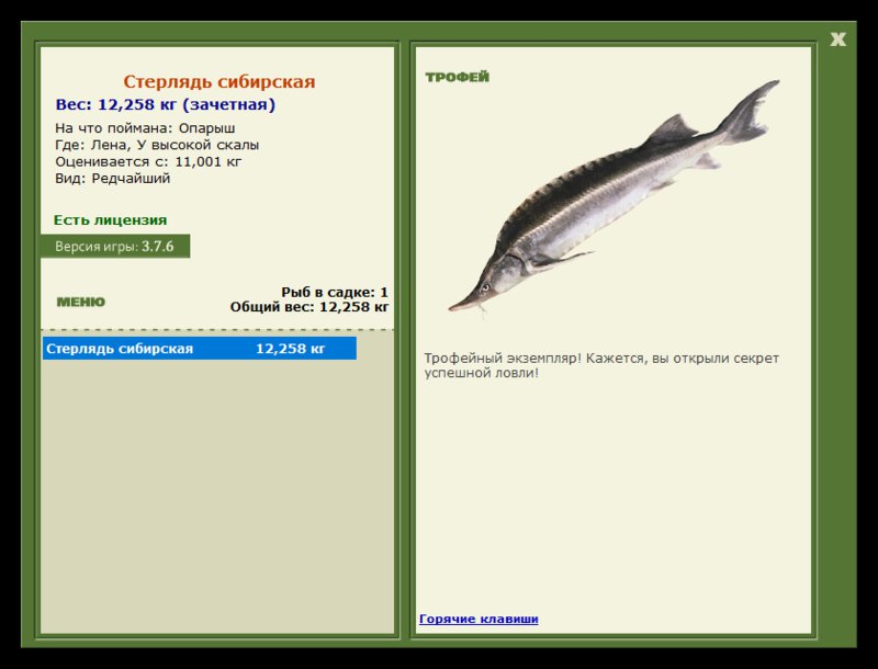 Учимся использовать BBcode в сообщениях 