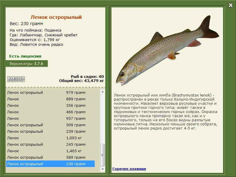 Снежный хребет 