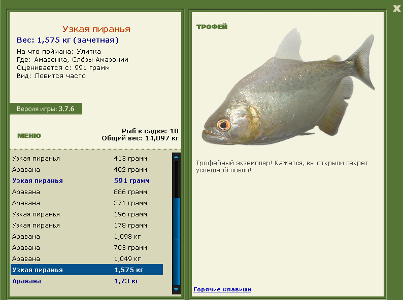 Узкая пиранья 