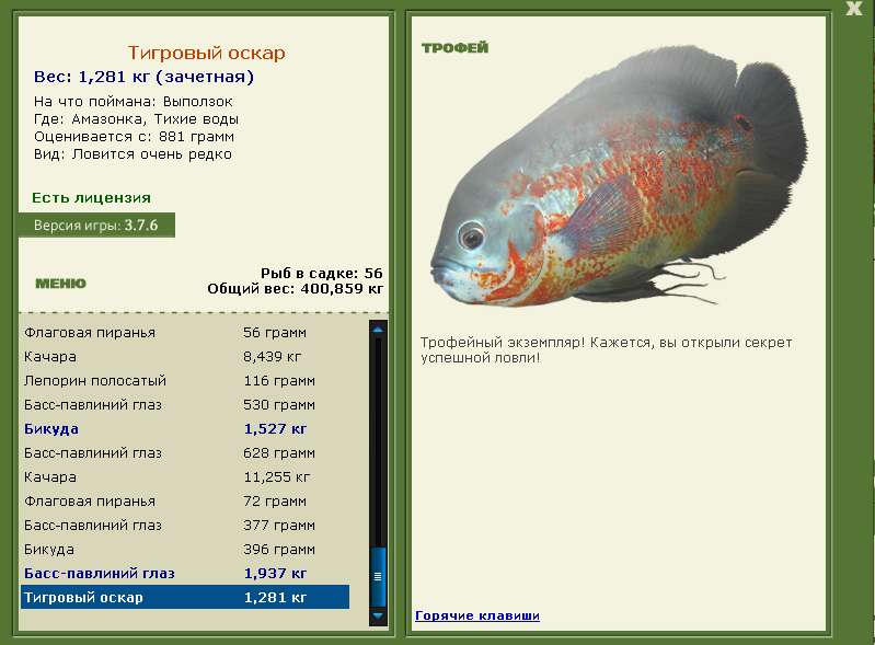 Тихие воды 