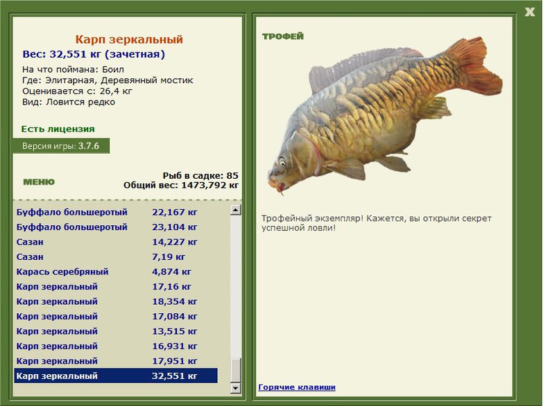 Деревянный мостик 