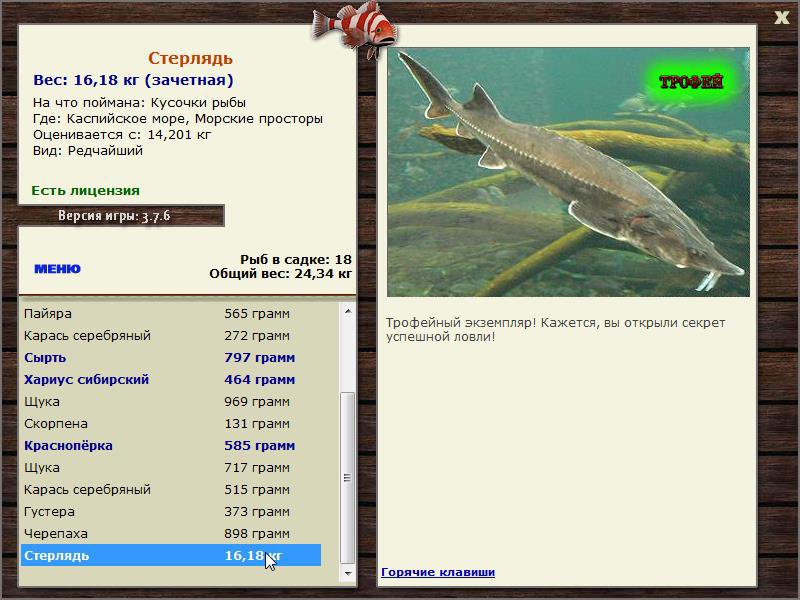 Морские просторы 