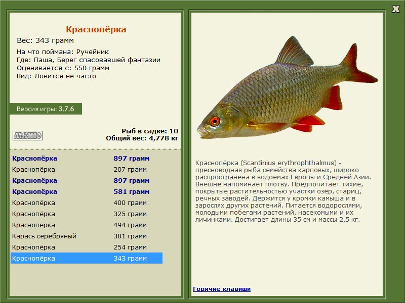 Берег спасовавшей фантазии 