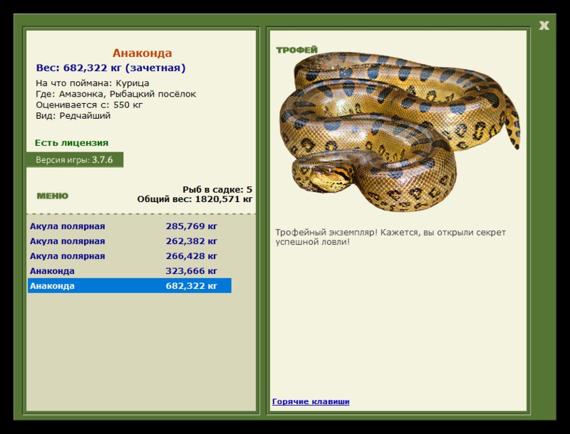 Учимся использовать BBcode в сообщениях 