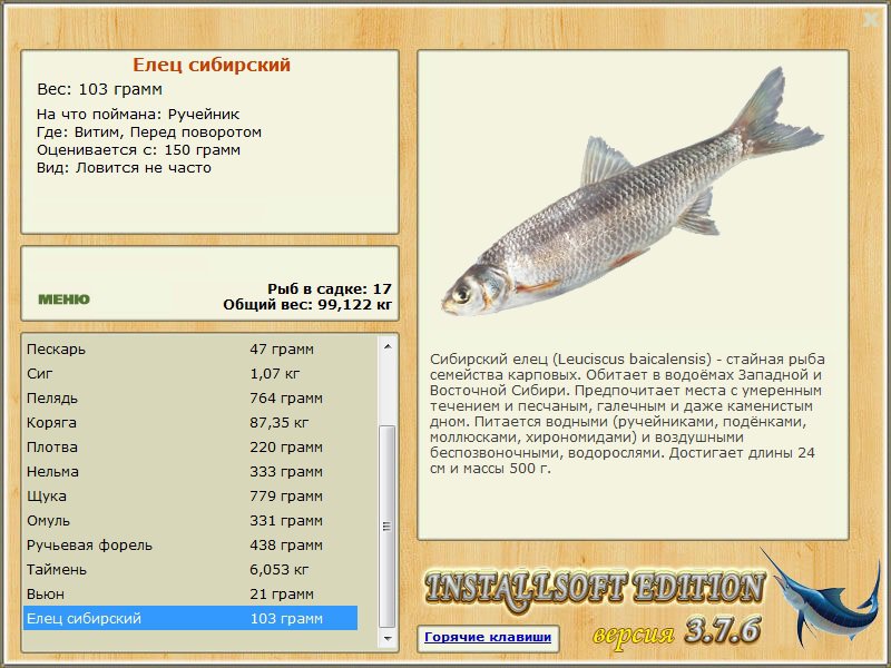 турниры • РУССКАЯ РЫБАЛКА