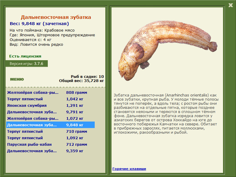 Штормовое предупреждение 
