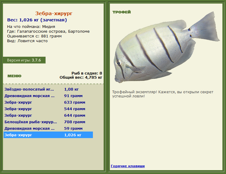 турниры • РУССКАЯ РЫБАЛКА