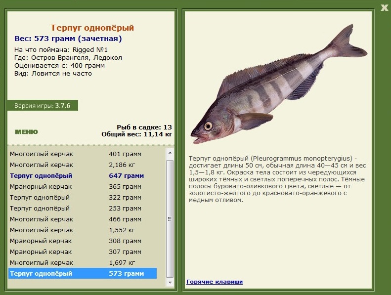 Ледокол 