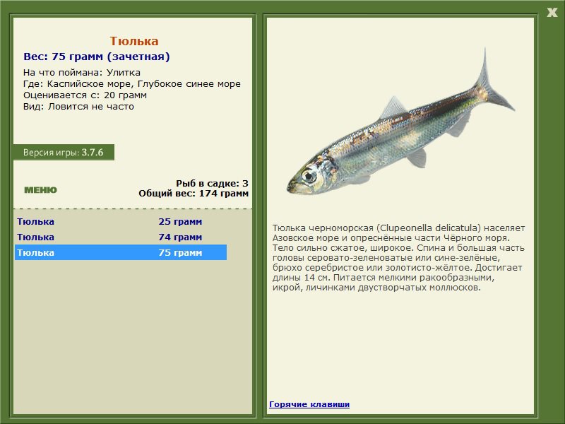 Глубокое синее море 