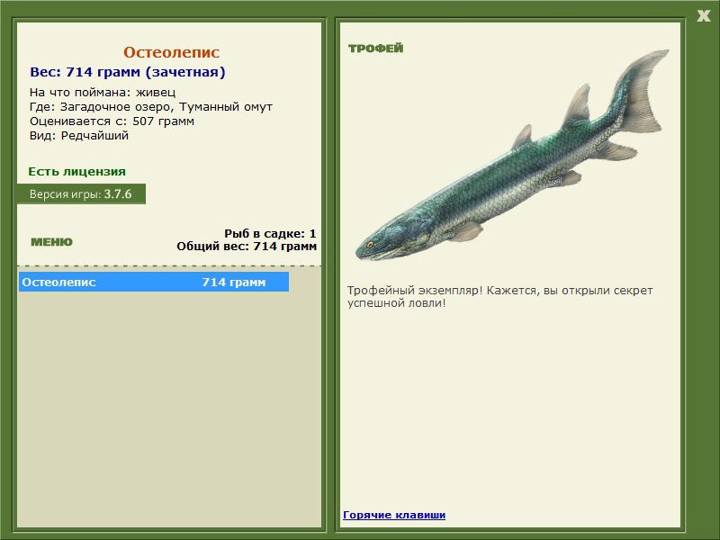 Туманный омут 