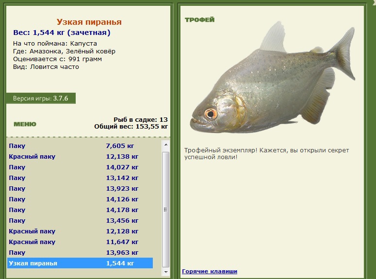Узкая пиранья 