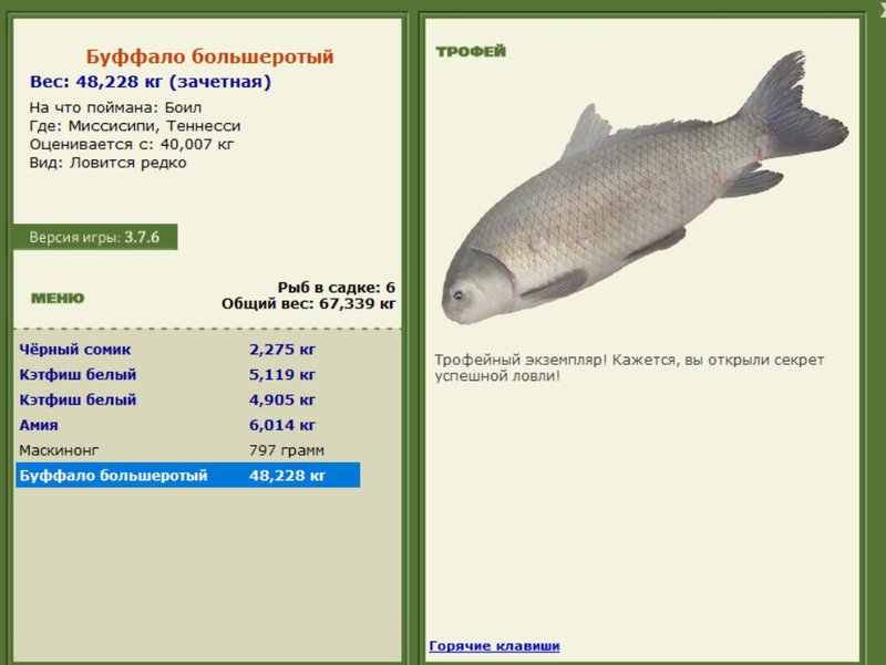 Буффало большеротый 