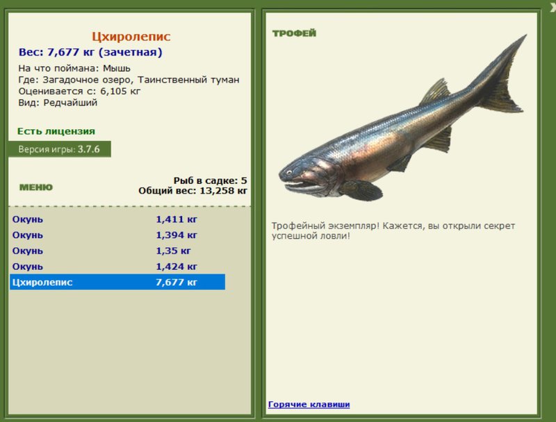 Цхиролепис 
