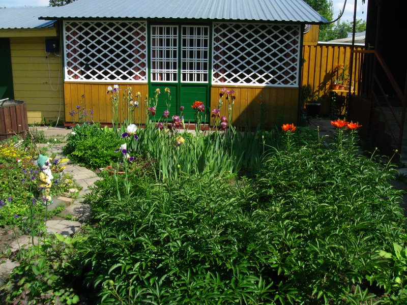 ДОМАШНИЙ УМЕЛЕЦ