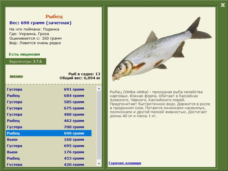 Гроза 